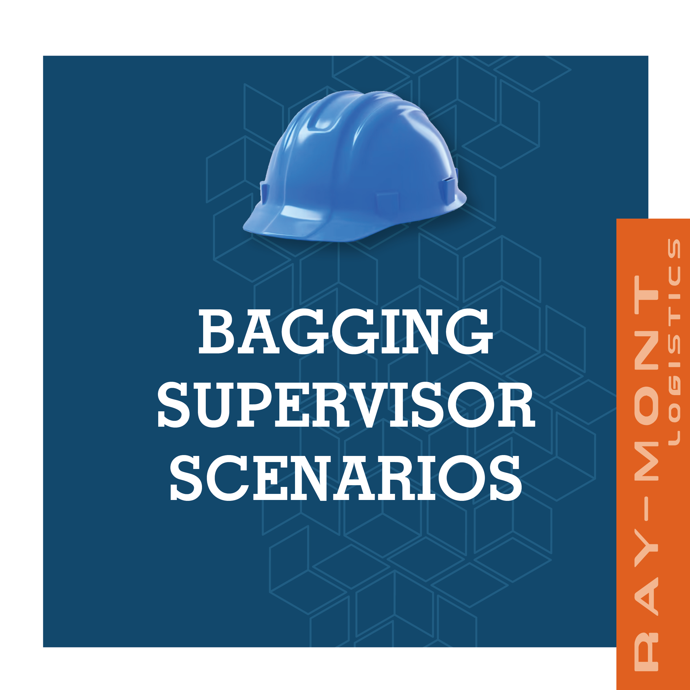 Bagging Plant SOP Supervisor Scenarios